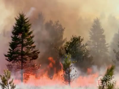 <p>Something on Earth is always burning! NASA's Earth Observatory tracks wildfires across the world with <a href="http://earthobservatory.nasa.gov/GlobalMaps/view.php?d1=MOD14A1_M_FIRE" target="_blank">maps available for viewing</a> from 2000-present. Some wildfires can restore <a href="/earth/ecosystems.html">ecosystems</a> to good health, but many can threaten human populations, posing a natural disaster threat.</p>
<p>Check out the materials about natural disasters in <a href="/earth/natural_hazards/when_nature_strikes.html">NBC Learn Videos</a>, and their earth system science connections built up by the related secondary classroom activities.</p><p><small><em>NBC Learn</em></small></p>
