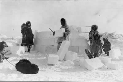 <a href="/earth/polar/inuit_culture.html&lang=sp&dev=1">Los  Inuit</a> son las culturas nativas que an viven en las costas de la <a href="/earth/polar/arctic_tundra.html&lang=sp&dev=1"> tundra rtica</a> en Canad, Alaska (USA), Siberia (Rusia), and Groenlandia. Esta foto muestra varios inuits construyendo un igl con bloques de <a   href="/earth/polar/cryosphere_snow1.html&lang=sp&dev=1">nieva</a>el 24 de noviembre, 1924. Tradicionalmente han vivido en igls durante los meses ms fros, y en tiendas de campaas durante los ms clidos.<p><small><em>        Imgenes y fotografas de la Biblioteca del Congreso, Fotografas por Frank E. Kleinschmidt</em></small></p>