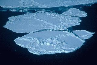 La produccin de hielo marino es tambin importante en la estratificacin de las aguas del Ocano rtico. A medida que se produce <a href="/earth/polar/sea_ice.html&lang=sp&dev=">hielo marino</a> cerca del Estrecho de Bering, la sal es liberada en el resto del agua no congelada. Esta agua lquida se hace muy salada y densa, y se hunde bajo el agua relativamente dulce del rtico, formando una capa conocida como la <a href="/earth/Water/salinity_depth.html&lang=sp&dev=">Haloclina</a>. La capa Haloclina acta como una barrera entre el hielo marino y las aguas clidas y saladas que vienen del Atlntico.<p><small><em>        NASA</em></small></p>