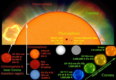 Astronomers use different wavelengths of light and other <a href="/physical_science/magnetism/em_radiation.html&edu=high">electromagnetic emissions</a> as <a href="/sun/spectrum/multispectral_sun.html&edu=high">"windows" into different regions of the Sun</a>. White light with a <a href="/physical_science/basic_tools/wavelength.html&edu=high">wavelength</a> between 400 and 700 nanometers (nm) shows the <a href="/sun/atmosphere/photosphere.html&edu=high">photosphere</a>, the visible "surface" of the Sun. Other wavelengths highlight different features of the Sun, such as its <a href="/sun/sun_magnetic_field.html&edu=high">magnetic field</a>, the <a href="/sun/atmosphere/chromosphere.html&edu=high">chromosphere</a> and the <a href="http://www.windows2universe.org/sun/atmosphere/corona.html">corona</a>.<p><small><em>Composite image courtesy of Windows to the Universe using images from SOHO (NASA and ESA), NCAR/HAO/MLSO, Big Bear Solar Observatory, and SDO/AIA.</em></small></p>